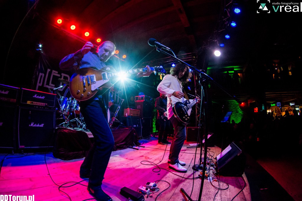 Koncert Pled Zepchlim w Lizard Kingu