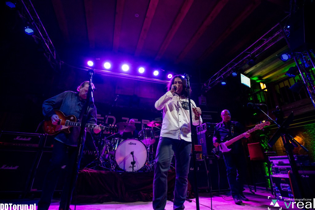 Koncert Pled Zepchlim w Lizard Kingu