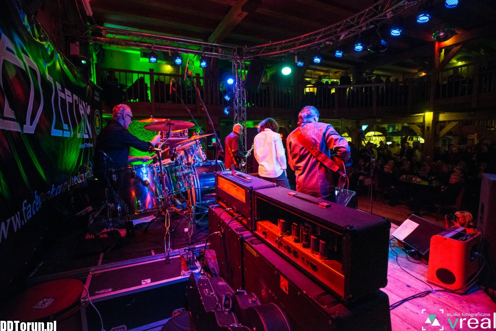 Koncert Pled Zepchlim w Lizard Kingu
