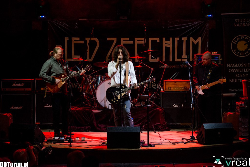Koncert Pled Zepchlim w Lizard Kingu