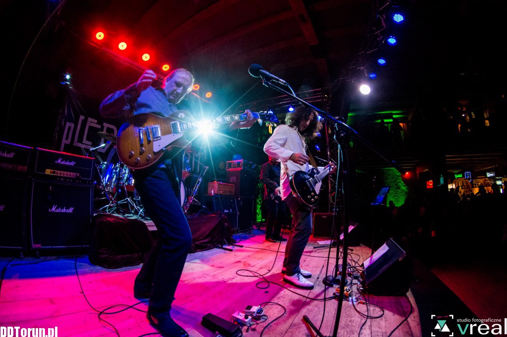 Koncert Pled Zepchlim w Lizard Kingu