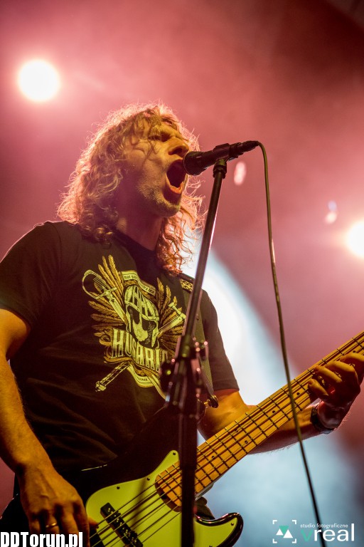Koncert LuxTorpeda na LuxFest