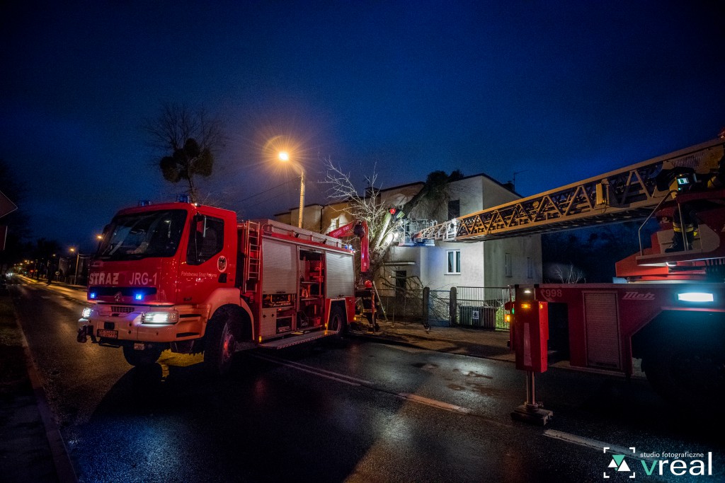 Silny wiatr przewracał drzewa