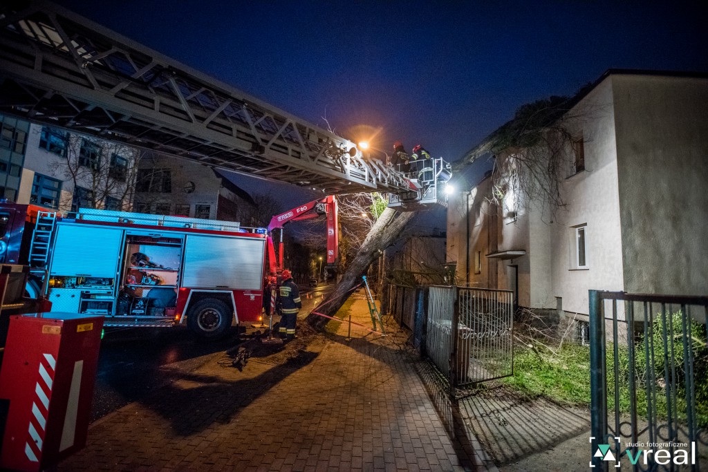 Silny wiatr przewracał drzewa