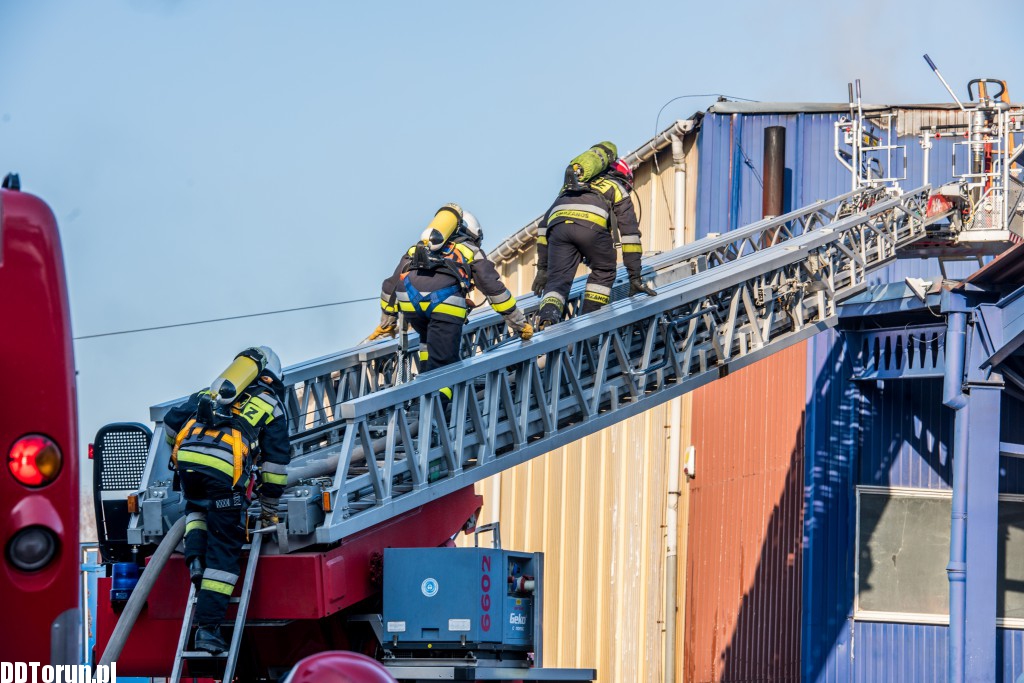 Pożar hali przy Szosie Bydgoskiej