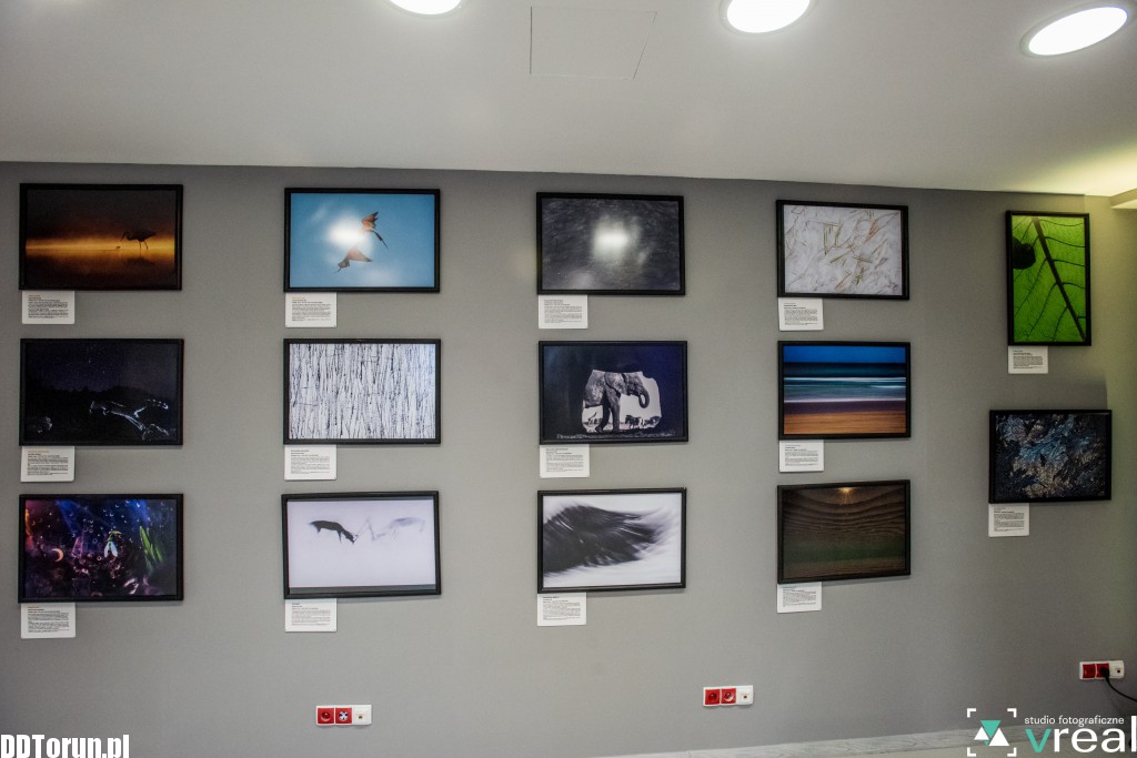Fotografie przyrody w Młynie Wiedzy
