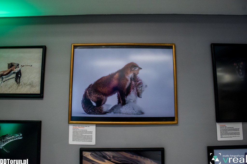 Fotografie przyrody w Młynie Wiedzy