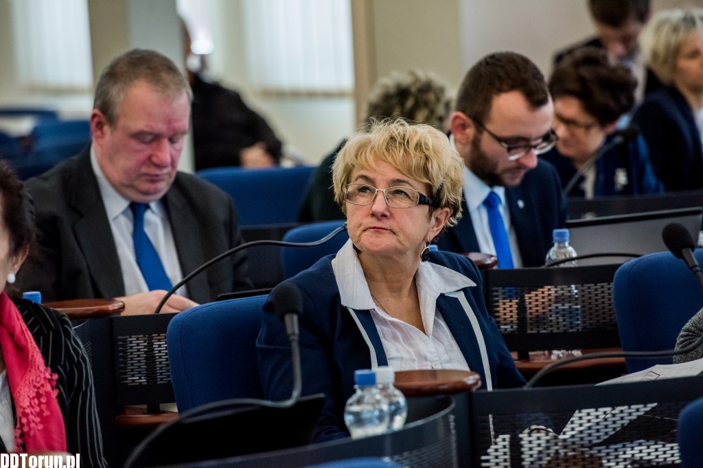 Styczniowa sesja rady miasta