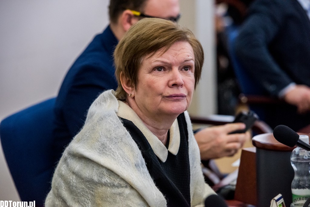 Styczniowa sesja rady miasta