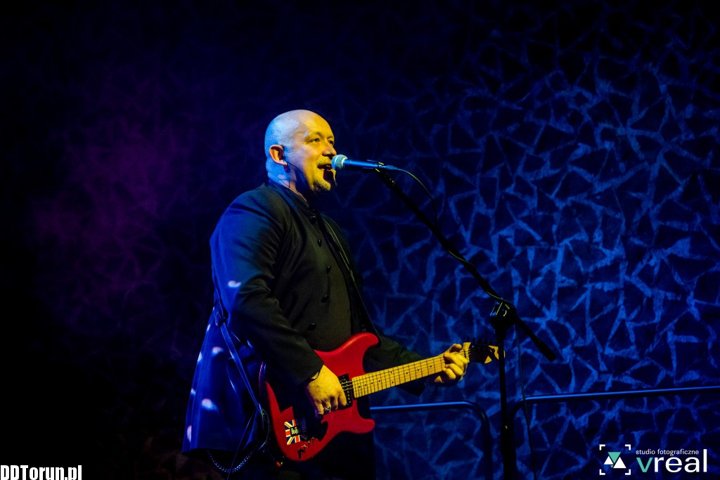 Koncert zespołu Żuki na Jordankach
