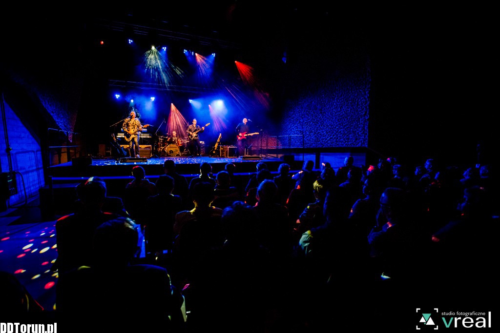 Koncert zespołu Żuki na Jordankach