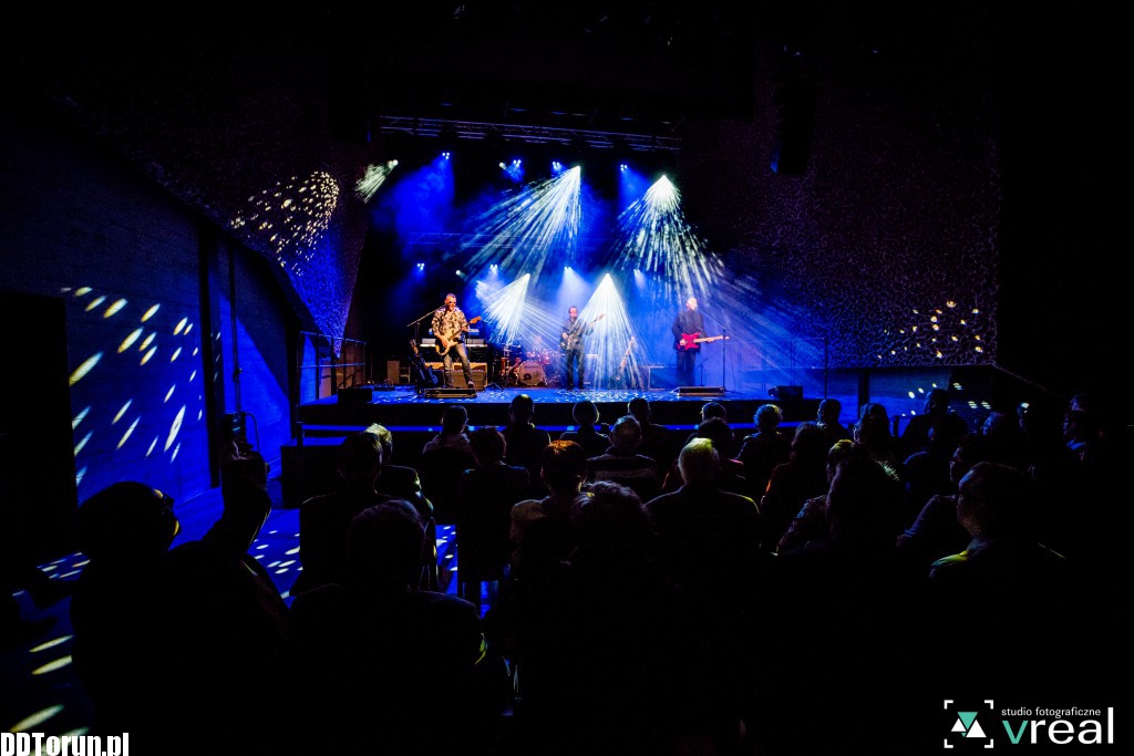 Koncert zespołu Żuki na Jordankach