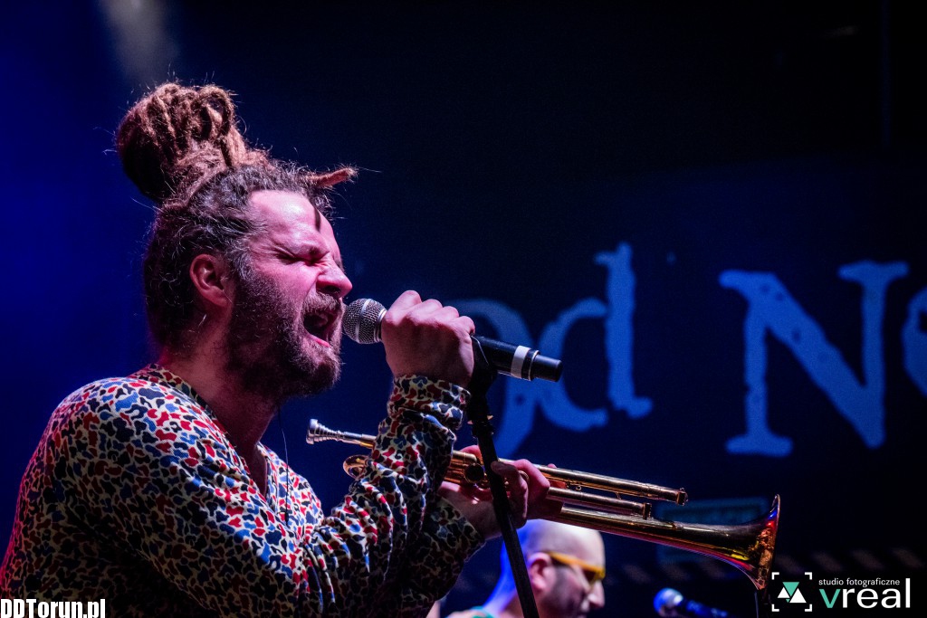 Afryka Reggae Festiwal w Od Nowie