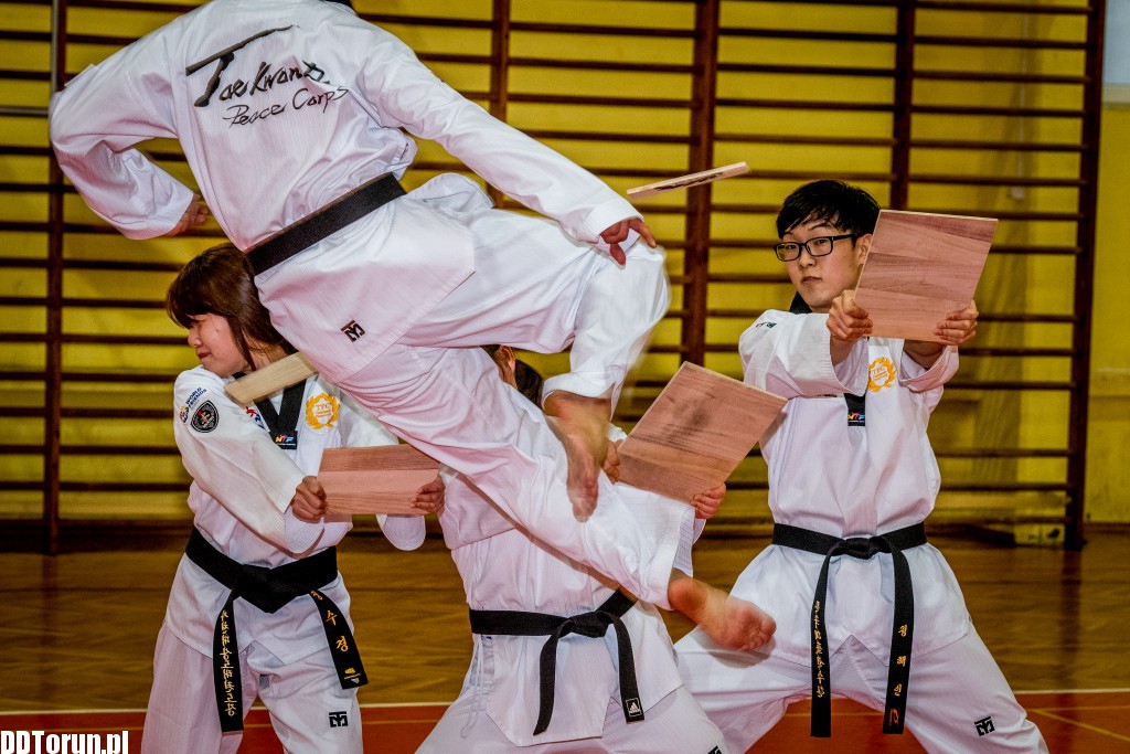 Koreańczycy przyjechali do Torunia