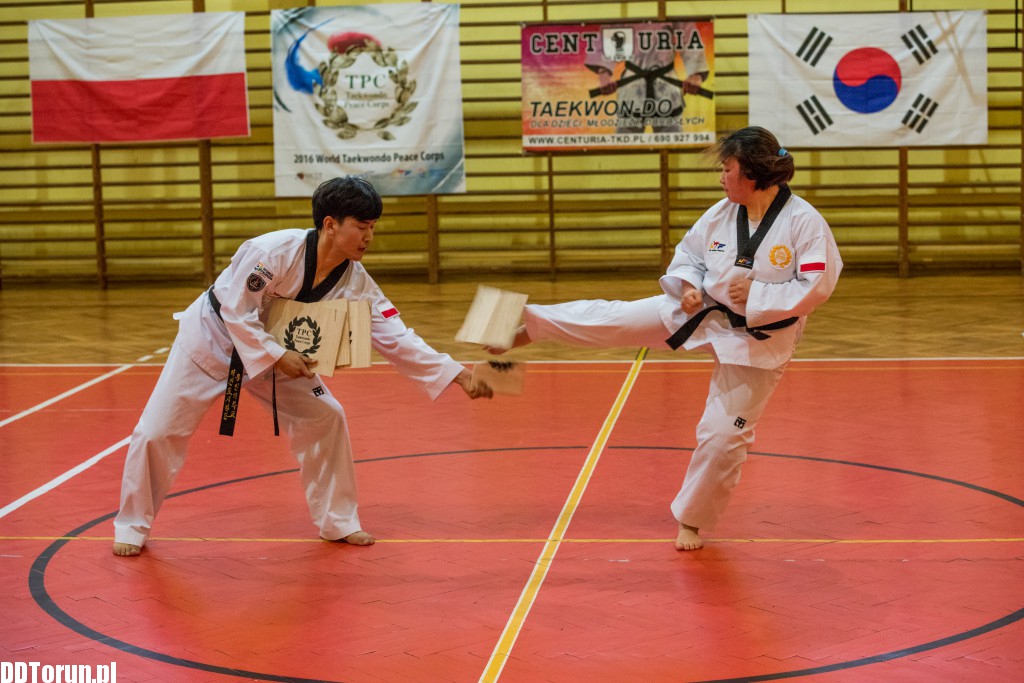 Koreańczycy przyjechali do Torunia