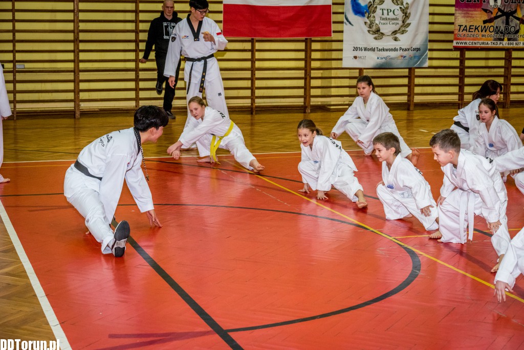 Koreańczycy przyjechali do Torunia