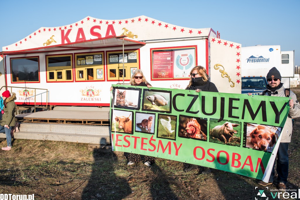 Chcą cyrku bez zwierząt