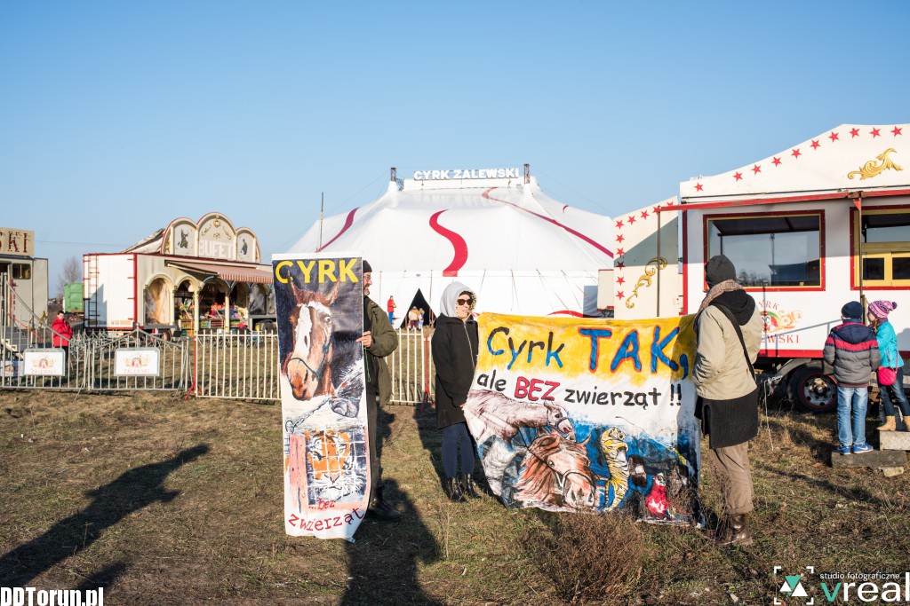 Chcą cyrku bez zwierząt