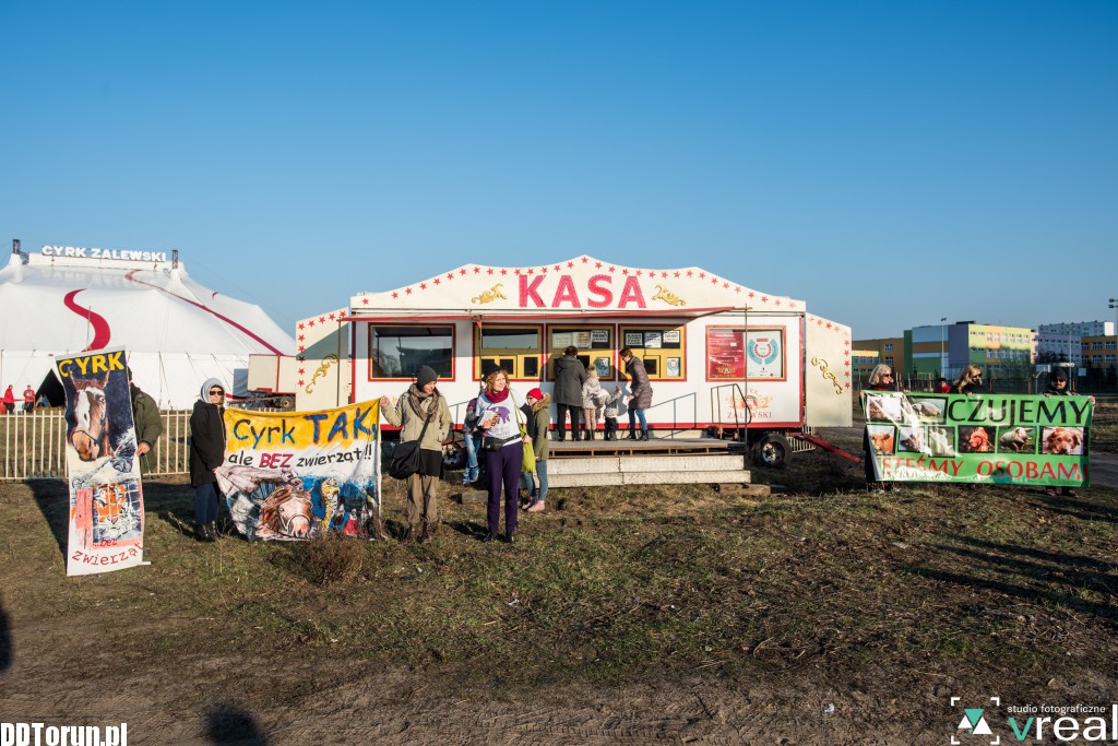 Chcą cyrku bez zwierząt