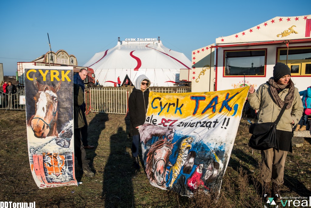 Chcą cyrku bez zwierząt