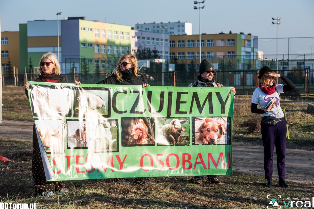Chcą cyrku bez zwierząt