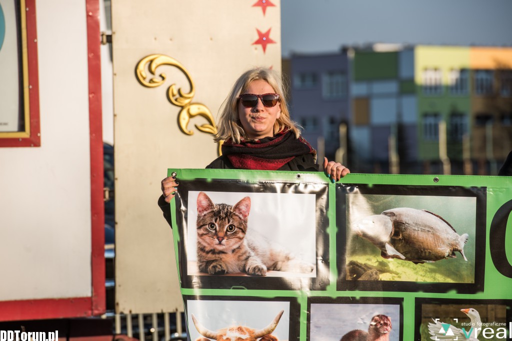 Chcą cyrku bez zwierząt