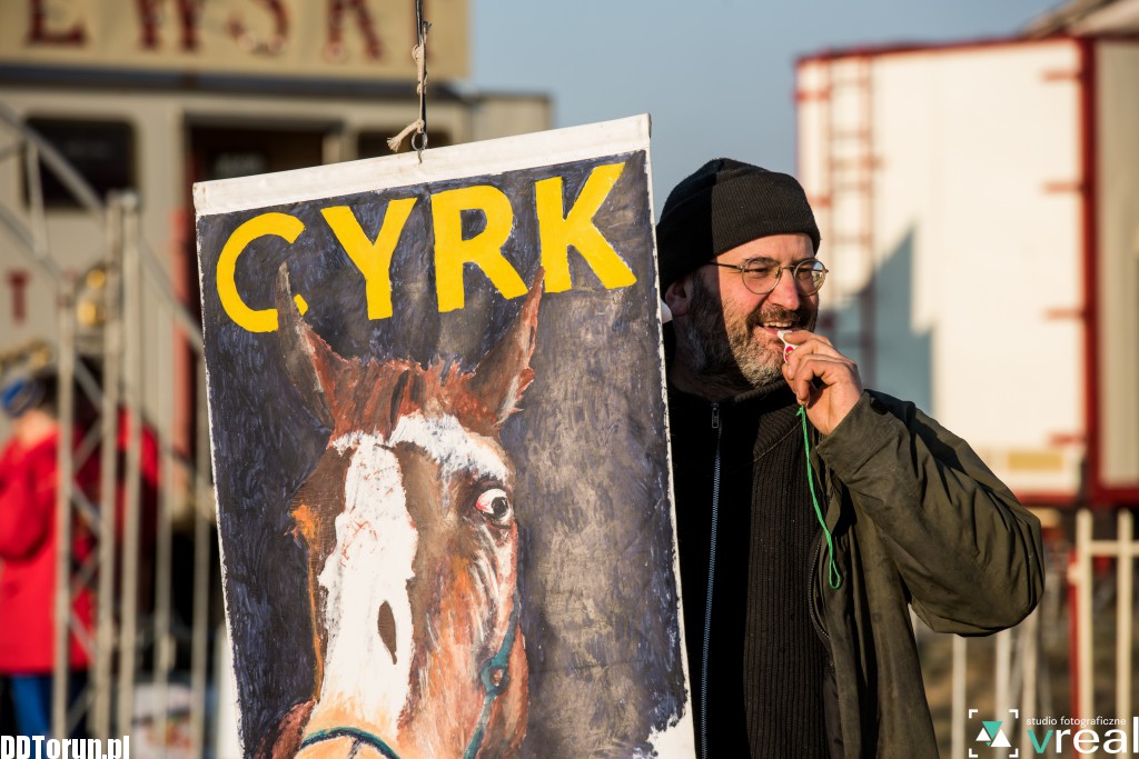 Chcą cyrku bez zwierząt