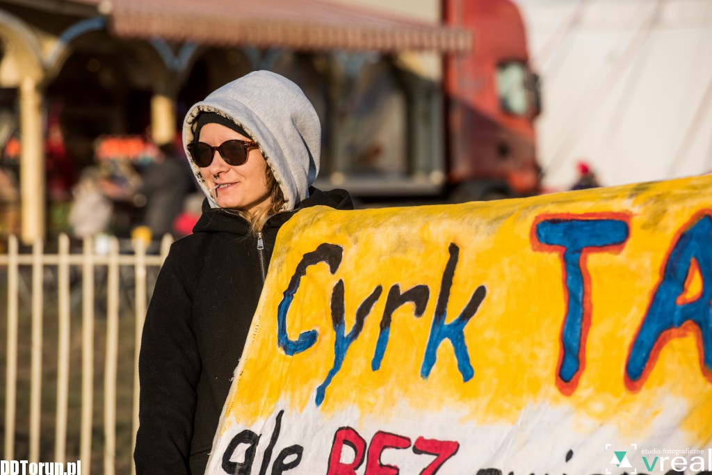 Chcą cyrku bez zwierząt