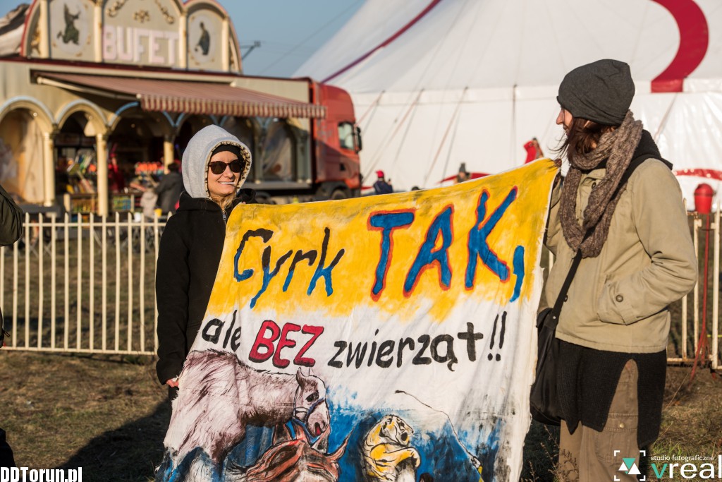 Chcą cyrku bez zwierząt