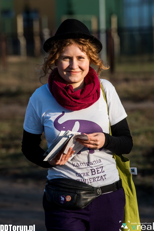 Chcą cyrku bez zwierząt