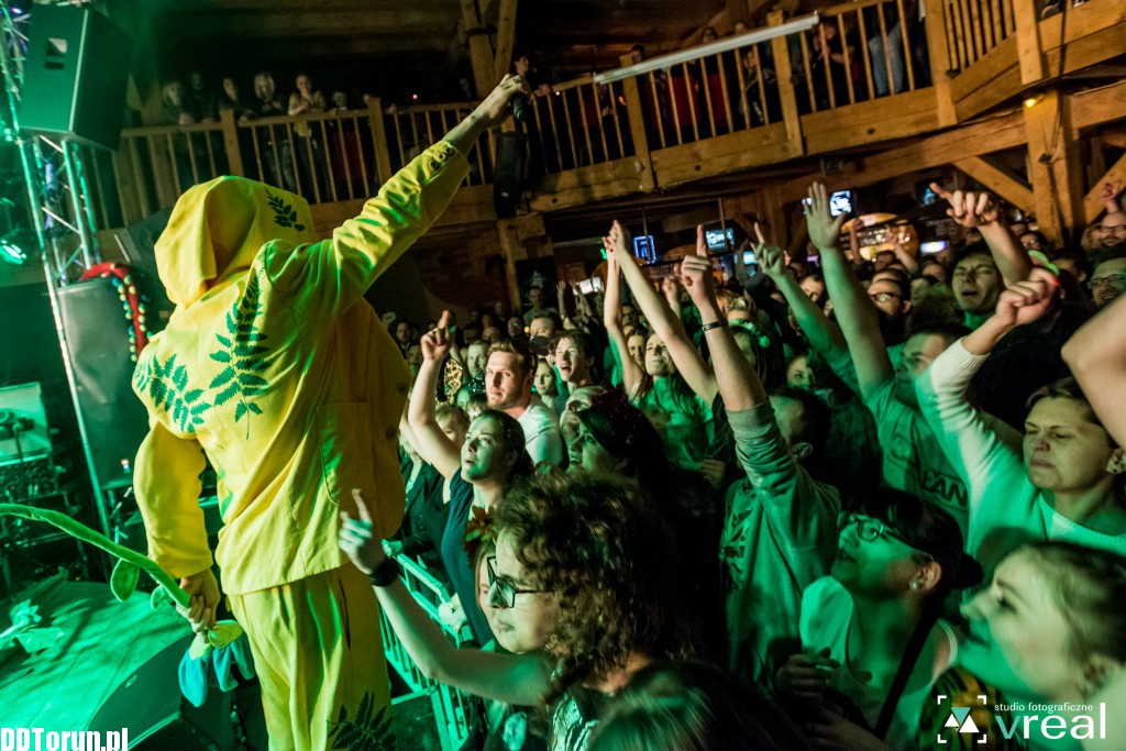 Koncert Łąki Łan w Lizard Kingu