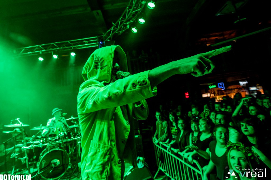 Koncert Łąki Łan w Lizard Kingu