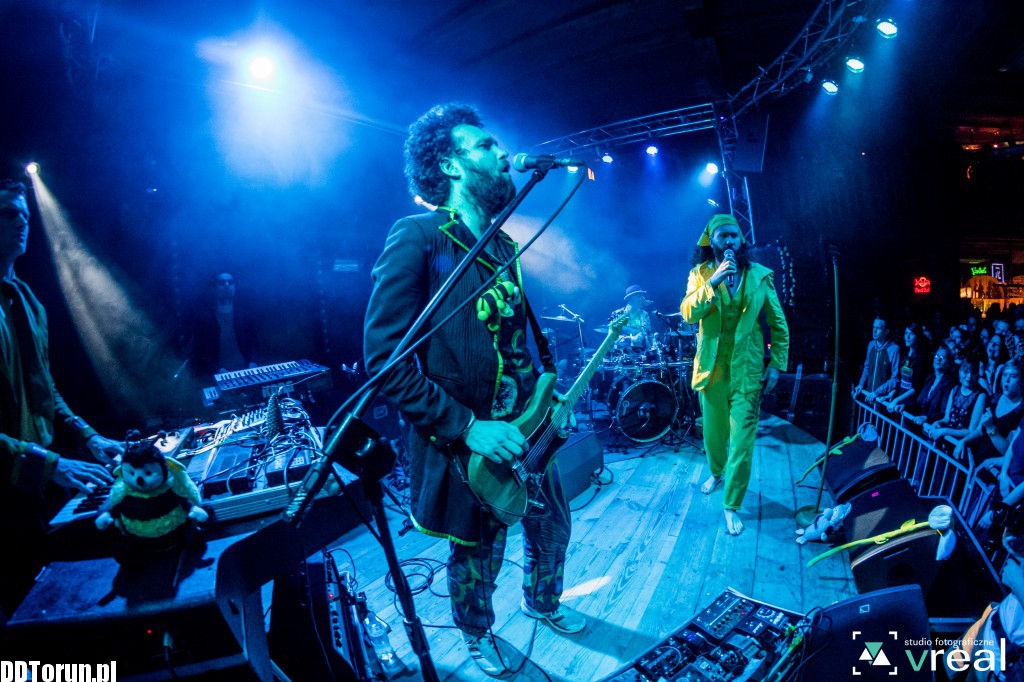 Koncert Łąki Łan w Lizard Kingu