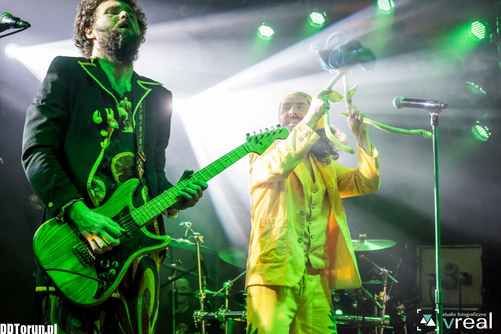 Koncert Łąki Łan w Lizard Kingu