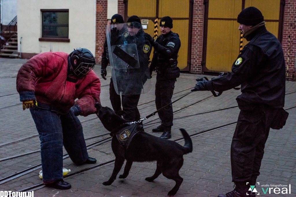 Straż miejska - szkolenie walki w tramwajach