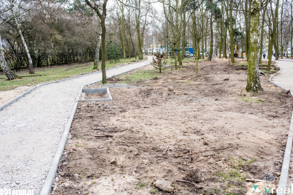 Park na Skarpie nabiera rumieńców