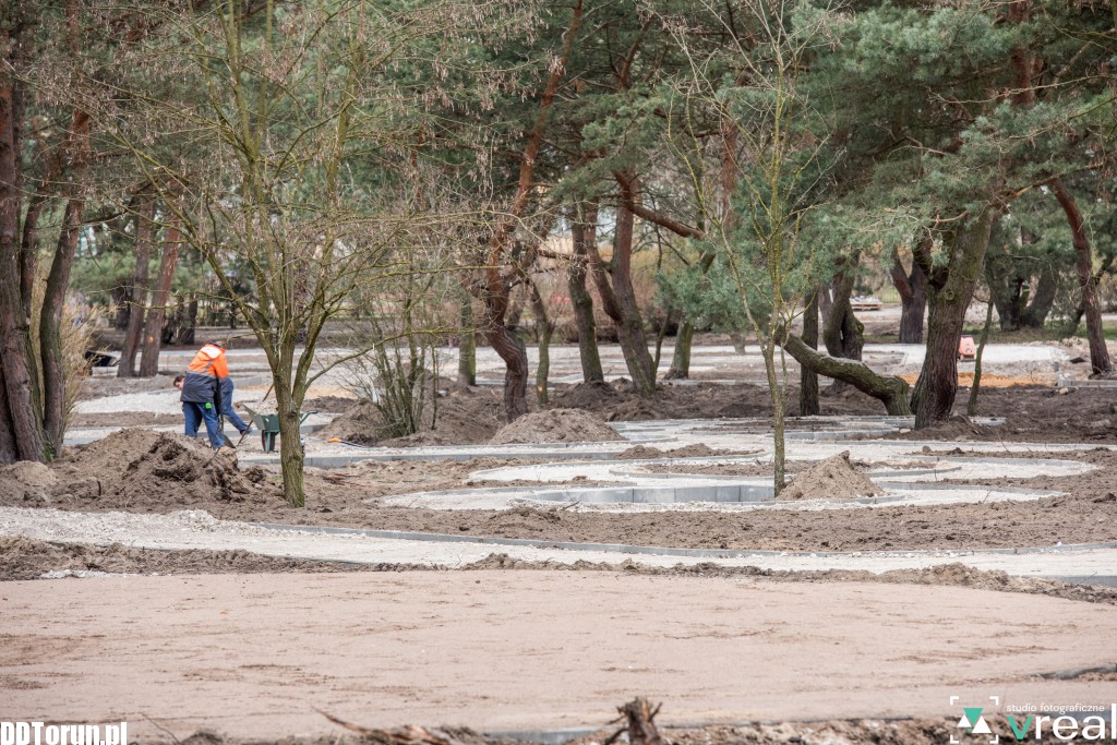 Park na Skarpie nabiera rumieńców