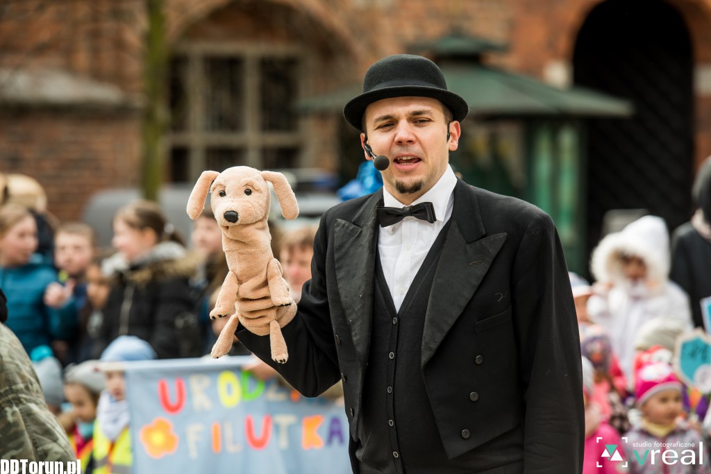 Święto Filutka i Filusia na starówce