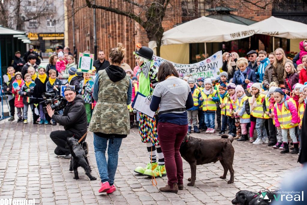 Święto Filutka i Filusia na starówce