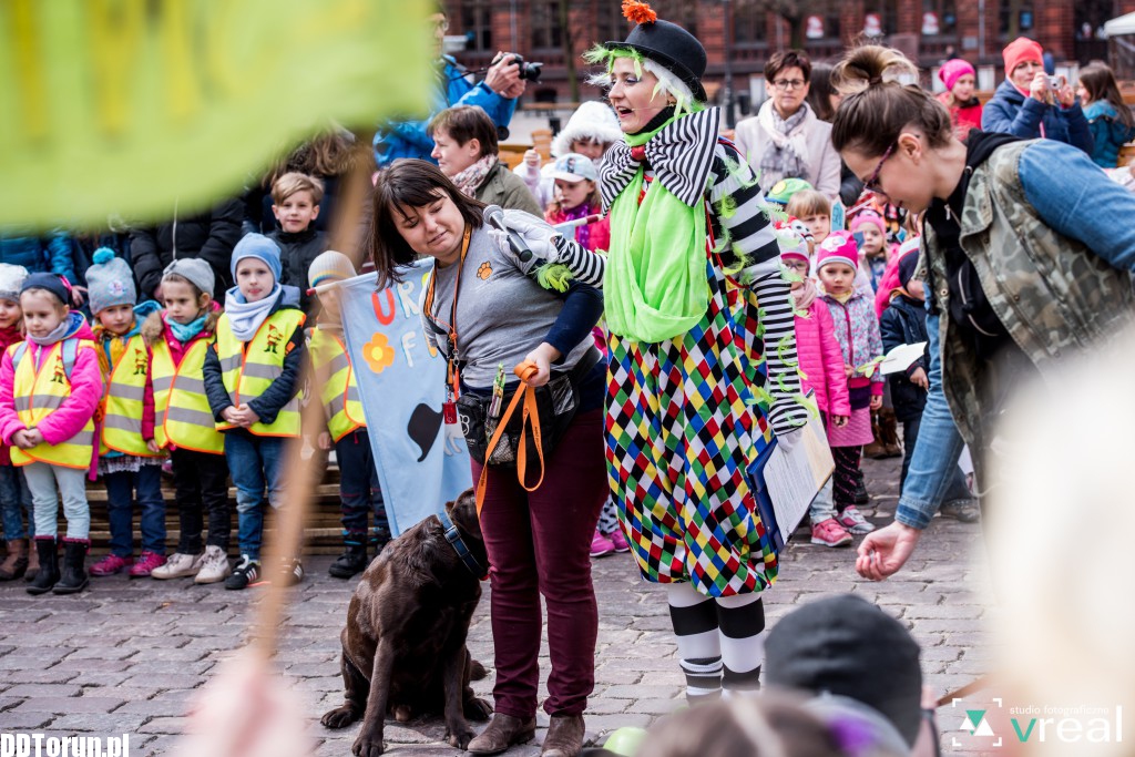 Święto Filutka i Filusia na starówce