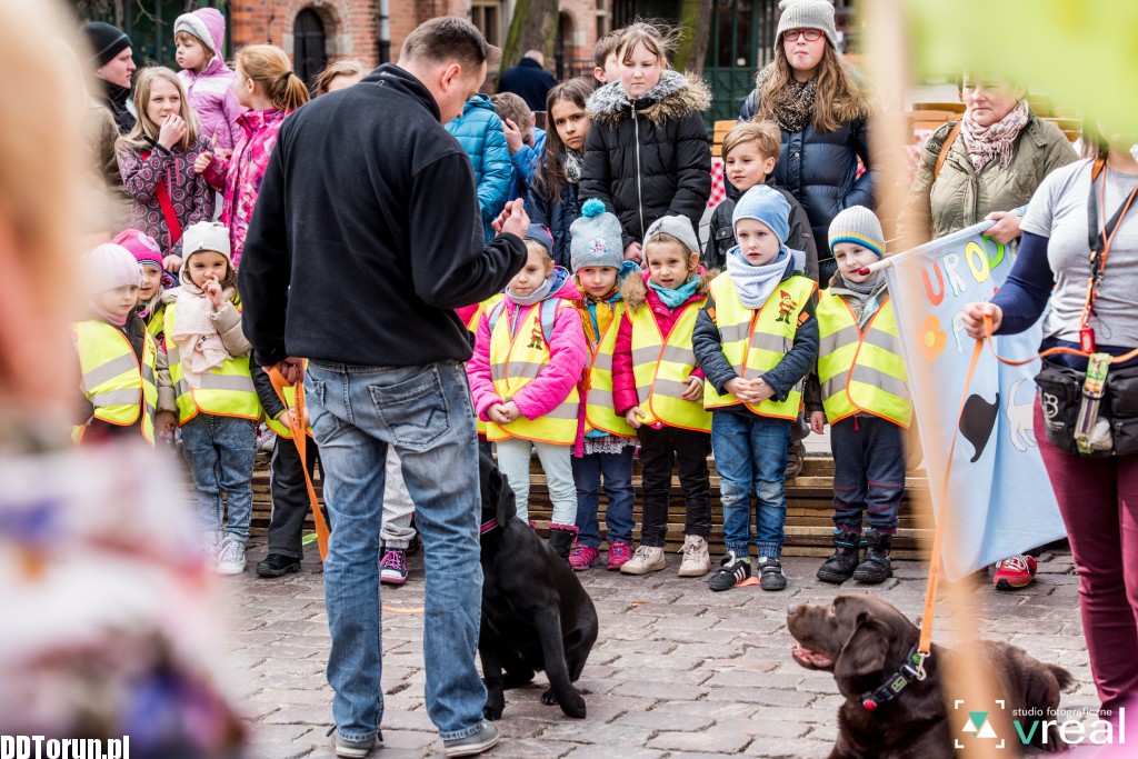 Święto Filutka i Filusia na starówce