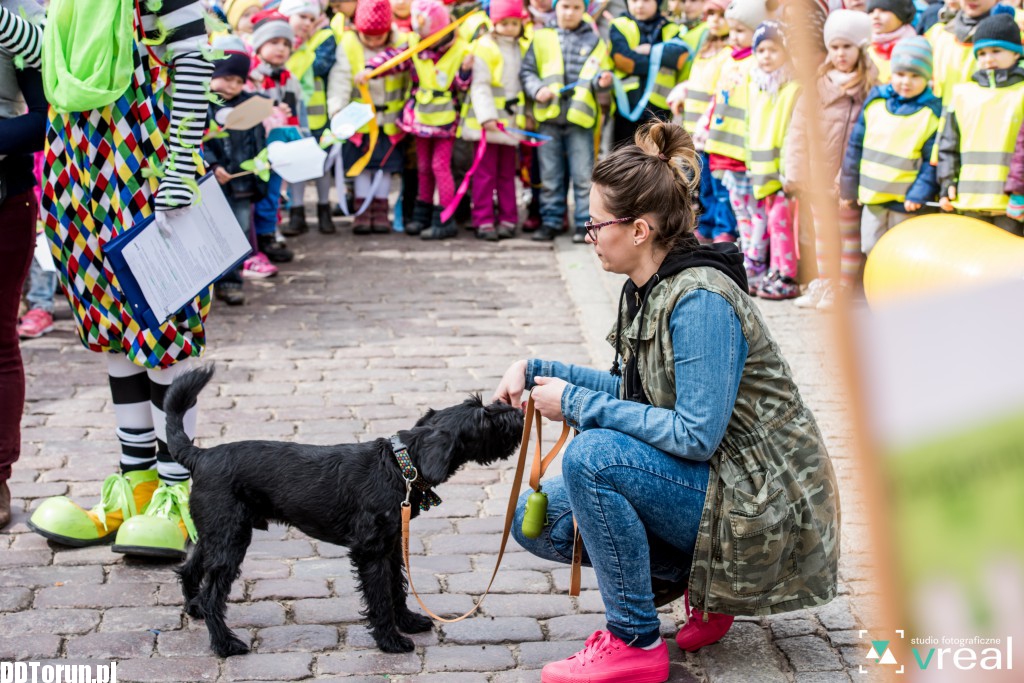 Święto Filutka i Filusia na starówce