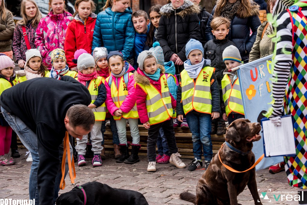Święto Filutka i Filusia na starówce