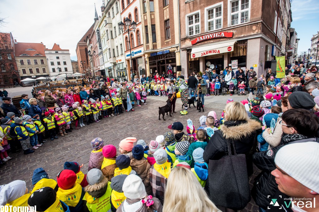 Święto Filutka i Filusia na starówce