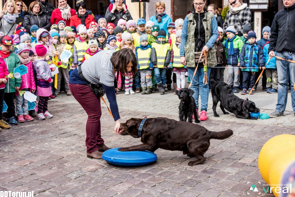 Święto Filutka i Filusia na starówce