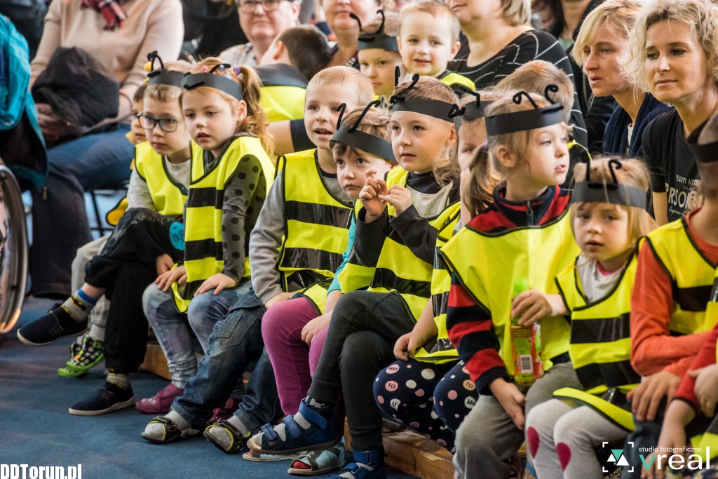 Dzieci z Zespołu Szkół nr 6 ratowały pszczoły