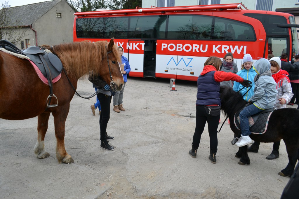 Zbiórka dla Lenki Głowackiej