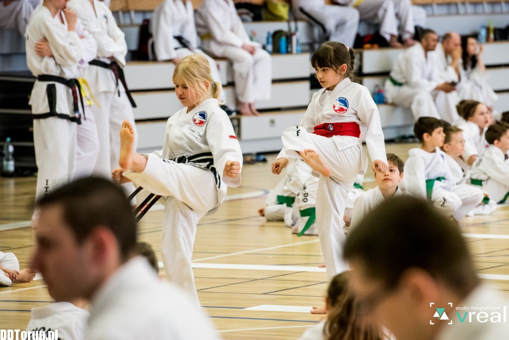 Mistrzostwa teakwondo w Toruniu