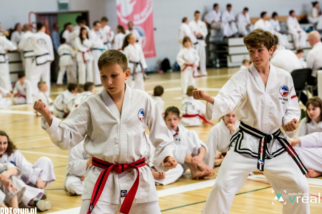 Mistrzostwa teakwondo w Toruniu
