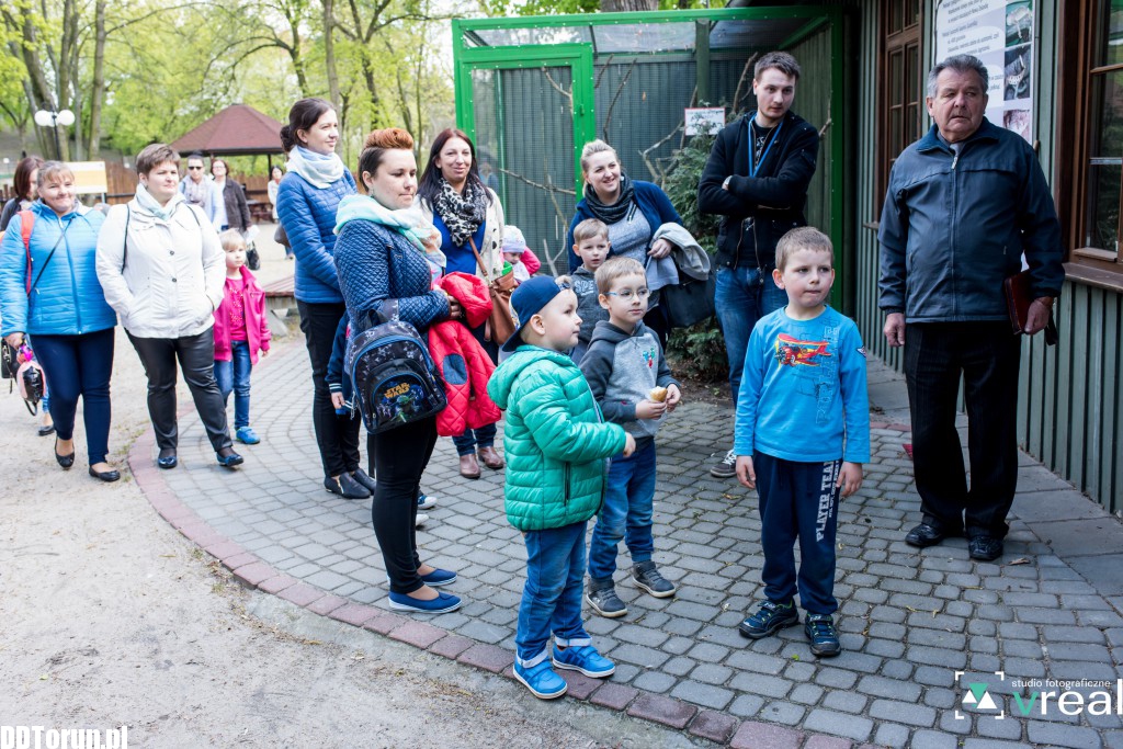 Skóra wilka i krokodyl - wystawa w zoo